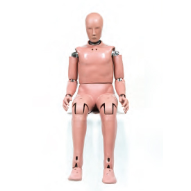 人体ダミー